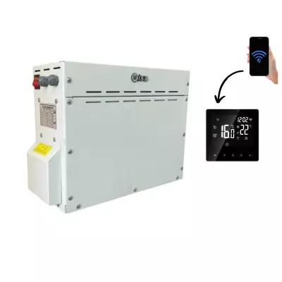 4,5 kW Buhar Jeneratör ( Harici Kontrol Panel ) 