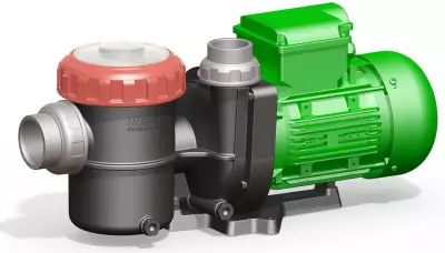 Hamsi 1 HP Monofaze Havuz Pompası