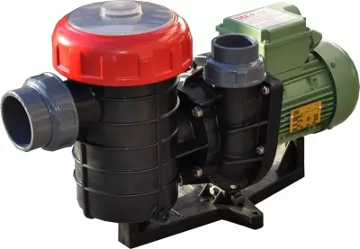 Şirin 0.75 HP Monofaze Havuz Pompası