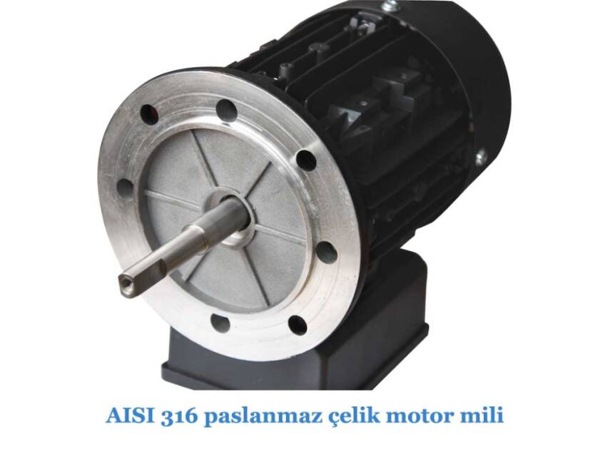 Streamer 2010 1 HP Monofaze Havuz Pompası - 5